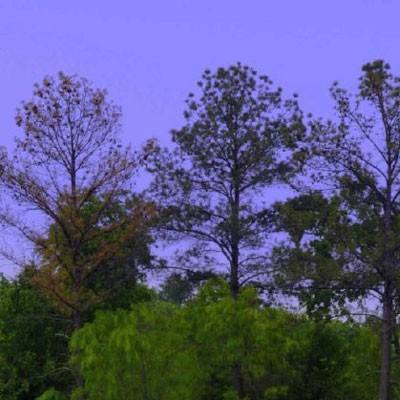 乐鱼体育投注下载手机版